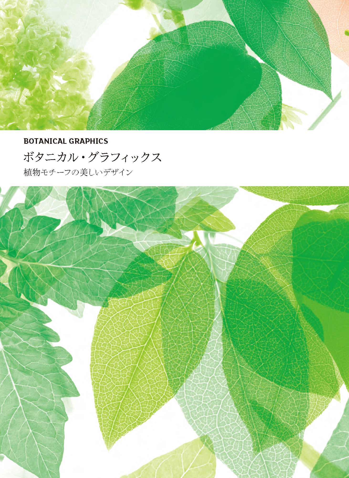 【大型本】FLOWER＆FRUIT PRINTS　ボタニカル 花の本 ボタニカルアートの庭 | ネイチャー・プロ編集室, 山内